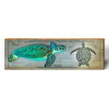 Green Sea Turtle Study